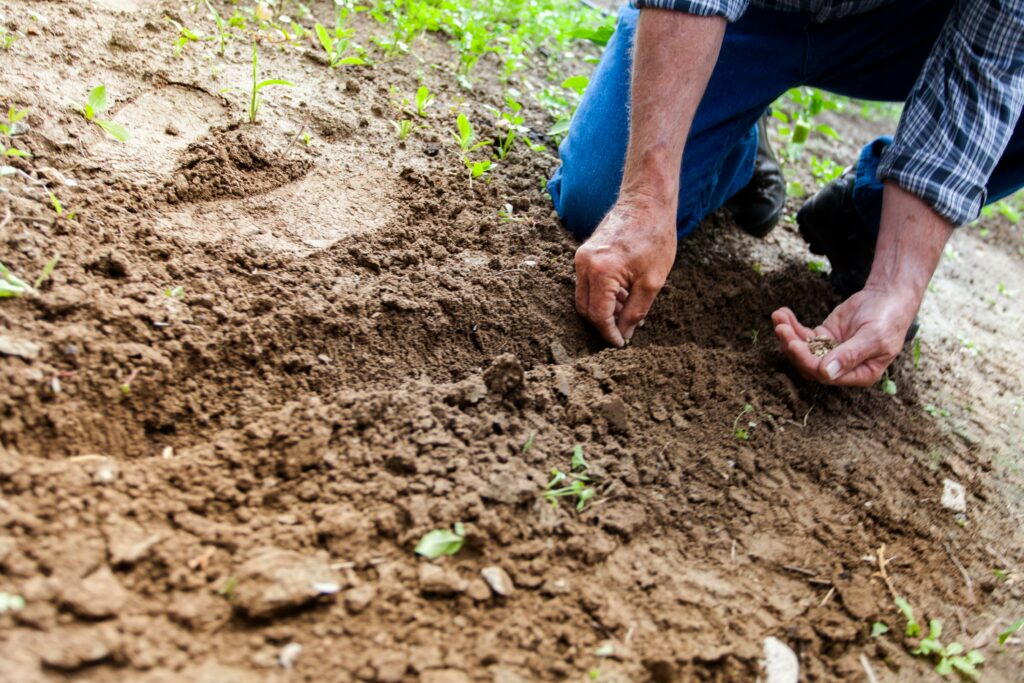 gartenarbeit